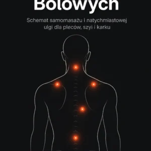 Mapa Punktów Bólowych